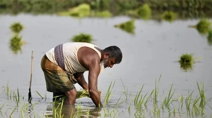 placeholder-landscape